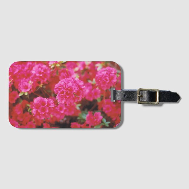 Etiqueta de bagagem com bordas de inserção de plac (Frente Horizontal)