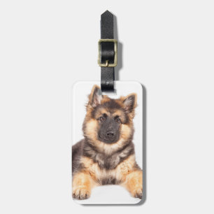 Etiqueta De Bagagem Combinação de German shepherd de Collie de Borda
