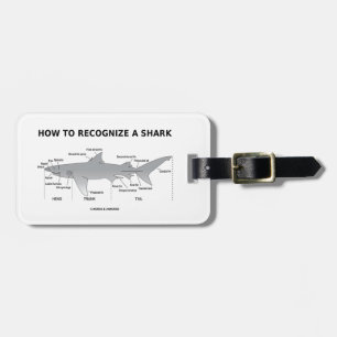 Etiqueta De Bagagem Como reconhecer um tubarão (humor da biologia)