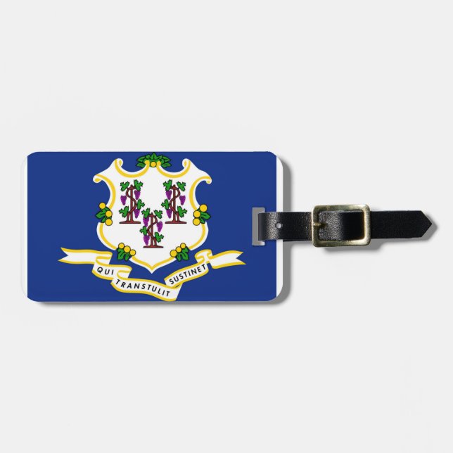Etiqueta De Bagagem Connecticut (Frente Horizontal)