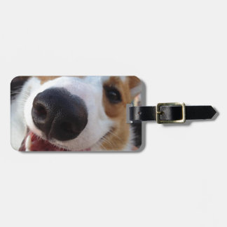 Etiqueta De Bagagem Corgi vermelho e branco de Galês do Pembroke