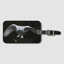 Coruja de Neve com Asas Abertas bc ltcna