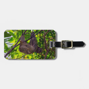 Etiqueta De Bagagem Costa Rica - Feliz preguiçoso Lama, Antonio Manuel