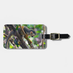 Etiqueta De Bagagem Costa Rica, Manuel Antonio - Macaco-esquilo