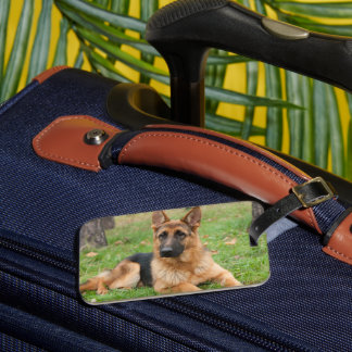 Etiqueta De Bagagem Crie Sua Própria Foto Personalizada de Animal de E