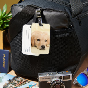 Etiqueta De Bagagem Crie Sua Própria Foto Personalizada de Animal de E