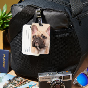 Etiqueta De Bagagem Crie Sua Própria Foto Personalizada de Animal de E