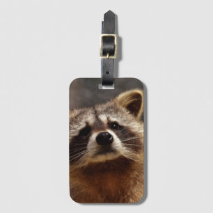 Etiqueta De Bagagem Curioso Raccoon