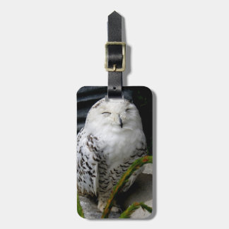 Etiqueta De Bagagem Cute Snowy Owl
