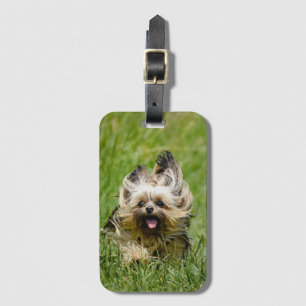 Etiqueta De Bagagem Cute Yorkshire Terrier passando por Grass