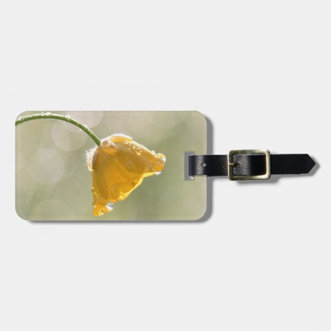 Etiqueta de Bagagem da Manhã (Frente Horizontal)