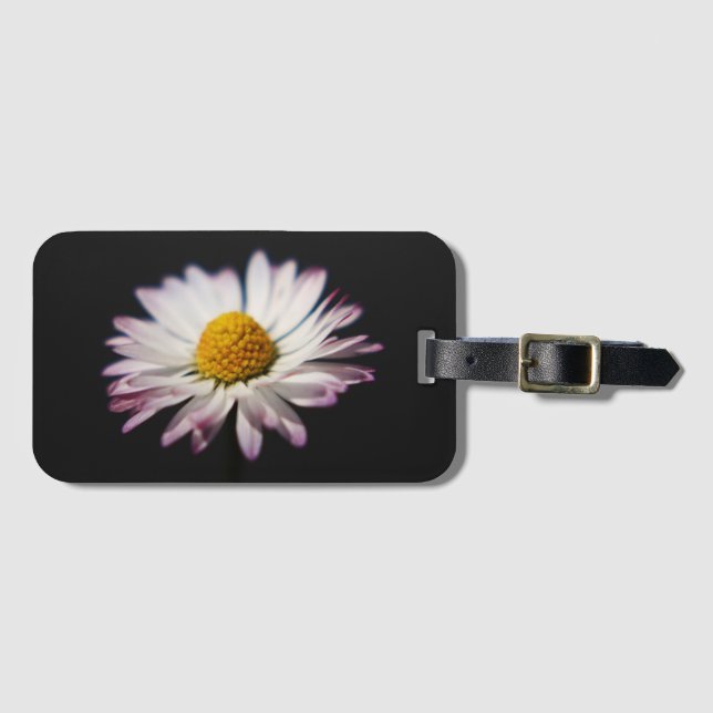 Etiqueta De Bagagem Daisy bc ltcna (Frente Horizontal)