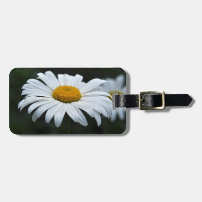 Etiqueta De Bagagem Daisy - Enfrentar (Frente Horizontal)