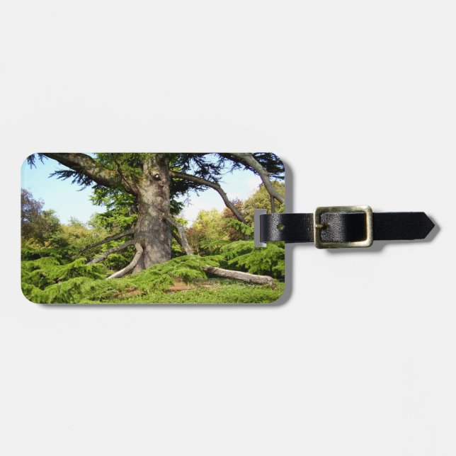 Etiqueta de Bagagem de Árvore Cedar-de-Líbano (Frente Horizontal)