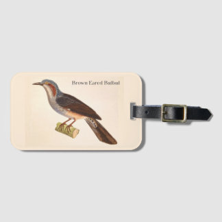 Etiqueta de Bagagem de Bulbul de Orelha Marrom