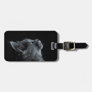 Etiqueta de Bagagem de Gato de Fotografia Personal