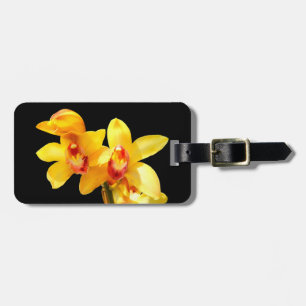 Etiqueta de Bagagem de Orquídeo de Cymbidium Amare