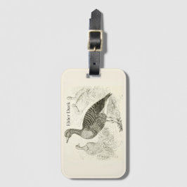 Etiqueta de Bagagem de Pato Eider
