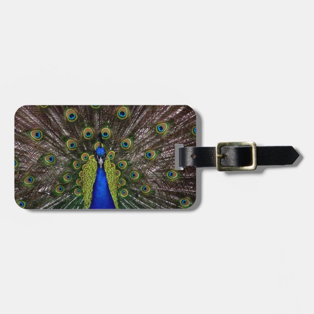 Etiqueta de bagagem de Peacock (Frente Horizontal)
