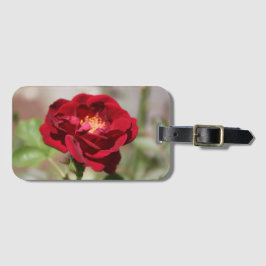 Etiqueta de bagagem de Rosa vermelha antiga