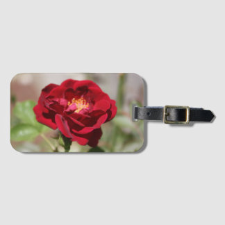 Etiqueta de bagagem de Rosa vermelha antiga