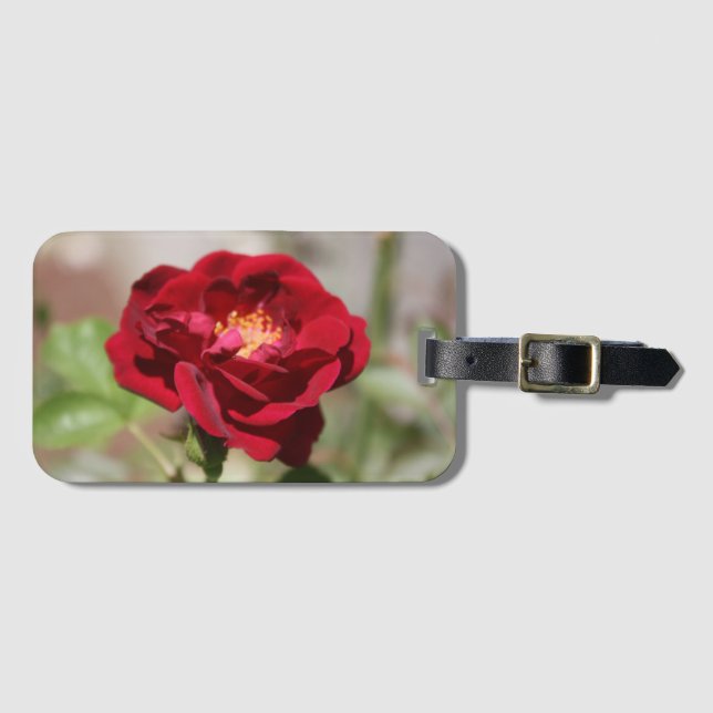 Etiqueta de bagagem de Rosa vermelha antiga (Frente Horizontal)