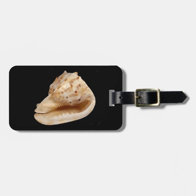 Etiqueta de Bagagem de Shell Conch (Frente Horizontal)