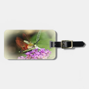 Etiqueta De Bagagem Desentendendo Hawk Moth - Hemaris thysbe