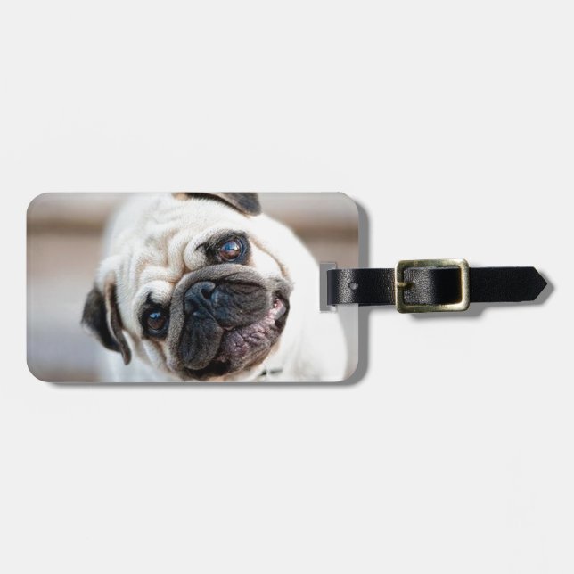 Etiqueta De Bagagem Design inquisidor bonito do Pug (Frente Horizontal)