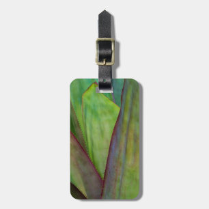 Etiqueta De Bagagem Detalhe da Planta Agave