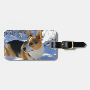 Etiqueta De Bagagem Dia da neve do Corgi de Galês