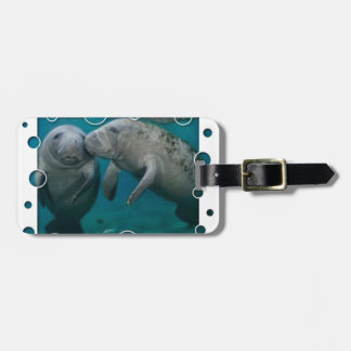 Etiqueta De Bagagem Dia dos namorados do amor do peixe-boi