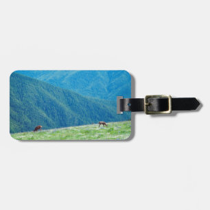 Etiqueta De Bagagem Dinheiro das montanhas