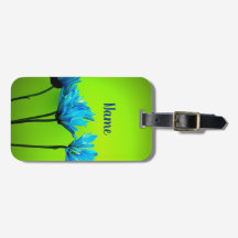 Disições de Teal de Nome Personalizado no Verde li