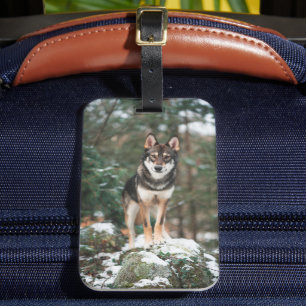 Etiqueta de Bagagem do Wolfdog