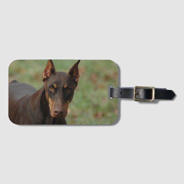 etiqueta de bagagem doberman (Frente Horizontal)