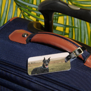 Etiqueta De Bagagem Doberman Pinscher No Campo