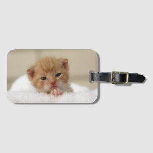 Etiqueta De Bagagem Doce gatinho