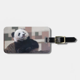 Etiqueta De Bagagem Doce Giant Panda Baby