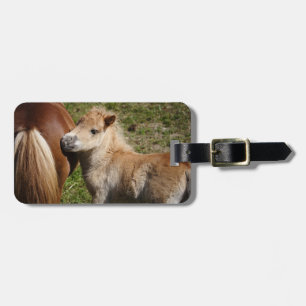 Etiqueta De Bagagem Doce Haflinger Foal