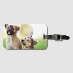 Etiqueta De Bagagem Dois German shepherd