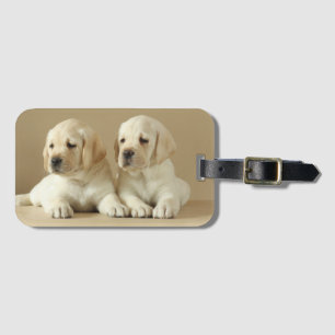 Etiqueta De Bagagem Dois Ouros De Labrador