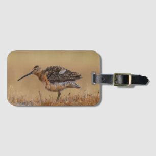 Etiqueta De Bagagem Dowitcher de bico longo