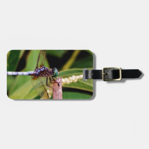 Etiqueta De Bagagem Dragonfly com flores brancas