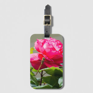 Etiqueta De Bagagem Dragonfly sentada na flor da rosa vermelha
