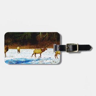 ETIQUETA DE BAGAGEM DSC00131.JPG