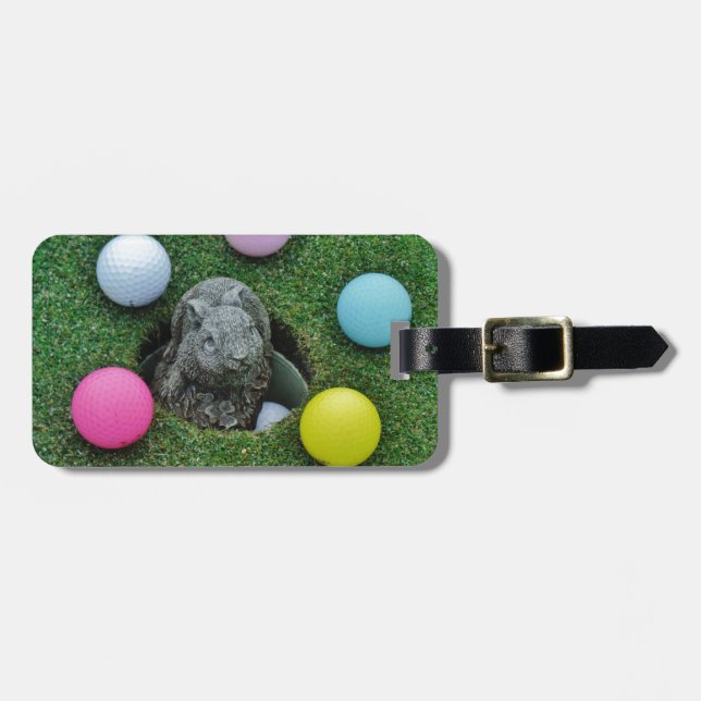 ETIQUETA DE BAGAGEM DSCF0698.JPG (Frente Horizontal)