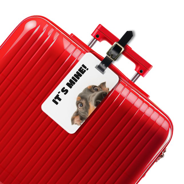 Etiqueta De Bagagem É meu! Foto de espiada de cão (Criador carregado)