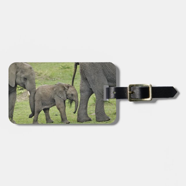 Etiqueta De Bagagem Elefante africano fêmea com bebê (Frente Horizontal)