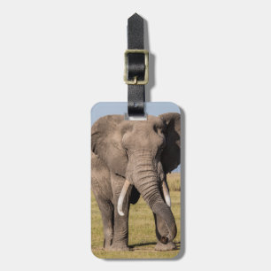 Etiqueta De Bagagem Elefante em uma Posição Agressiva